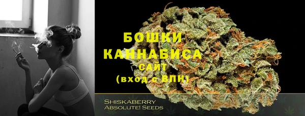 мдпв Липки
