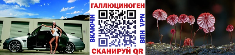 МЕГА ССЫЛКА  Яблоновский  Псилоцибиновые грибы GOLDEN TEACHER  дарнет шоп 